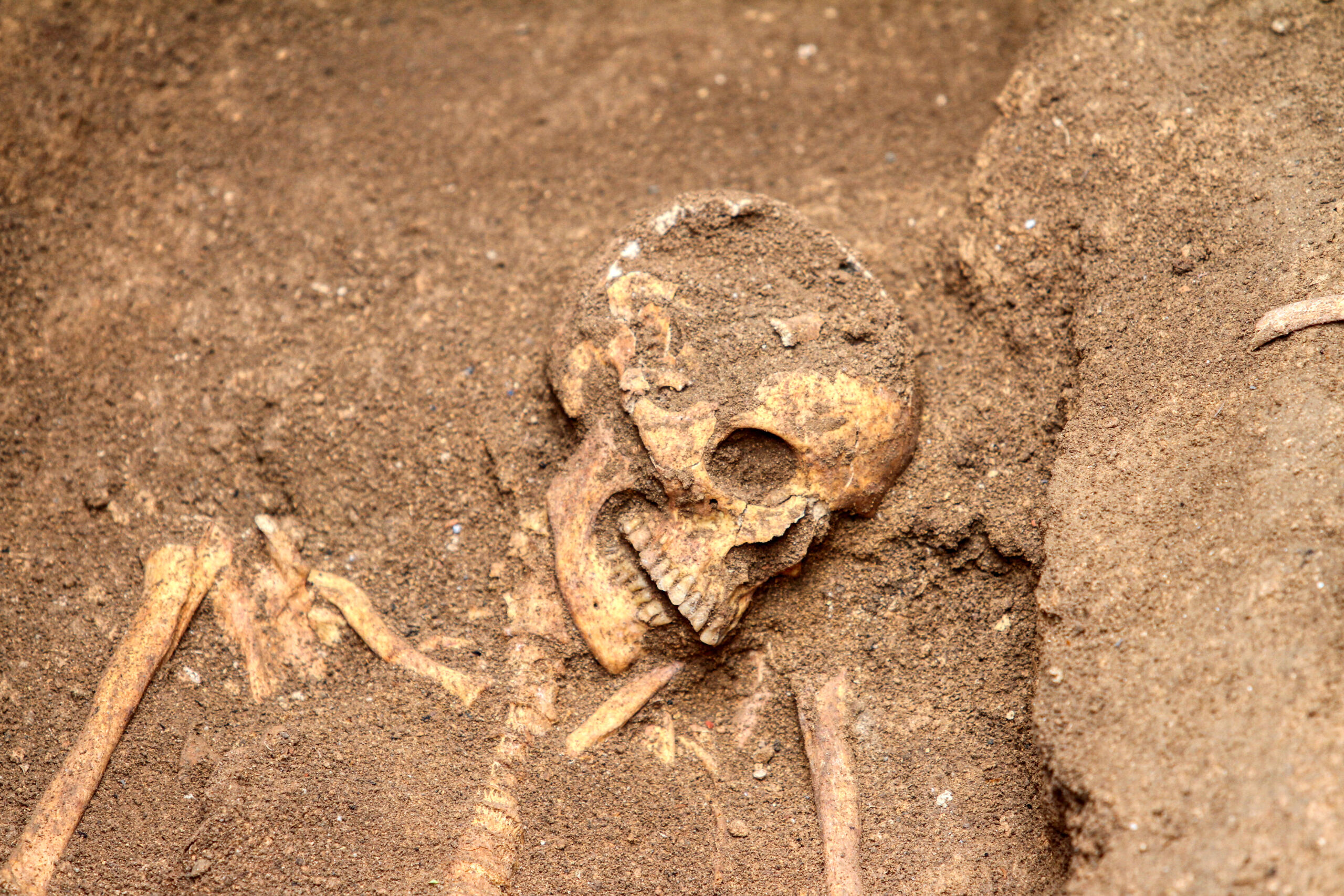 Archaeological,Discovery,Of,A,Tomb,With,An,Intact,Skeleton,In